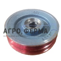 Шкив вакуумного насоса, чугунный, к установке GPV1500/2200, d.24мм (М150 2В), ИТАЛИЯ