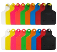 Бирка ушная, 60х80мм, двойная, под щипцы, пустая, большая, РОССИЯ