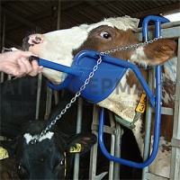 Поддержка для головы КРС