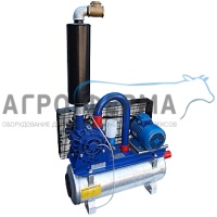 Установка вакуумная масляная GPV1000, с ресивером 50л, 3кВт, 1000 л/мин, CTA Milk, ИТАЛИЯ