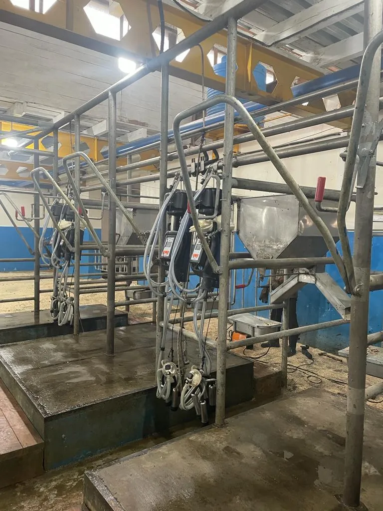 Иркутская область