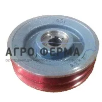Шкив вакуумного насоса, чугунный, к установке GPV1500/2200, d.24мм (М150 2В), ИТАЛИЯ