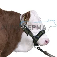Уздечка для телят, БЕЛАРУСЬ