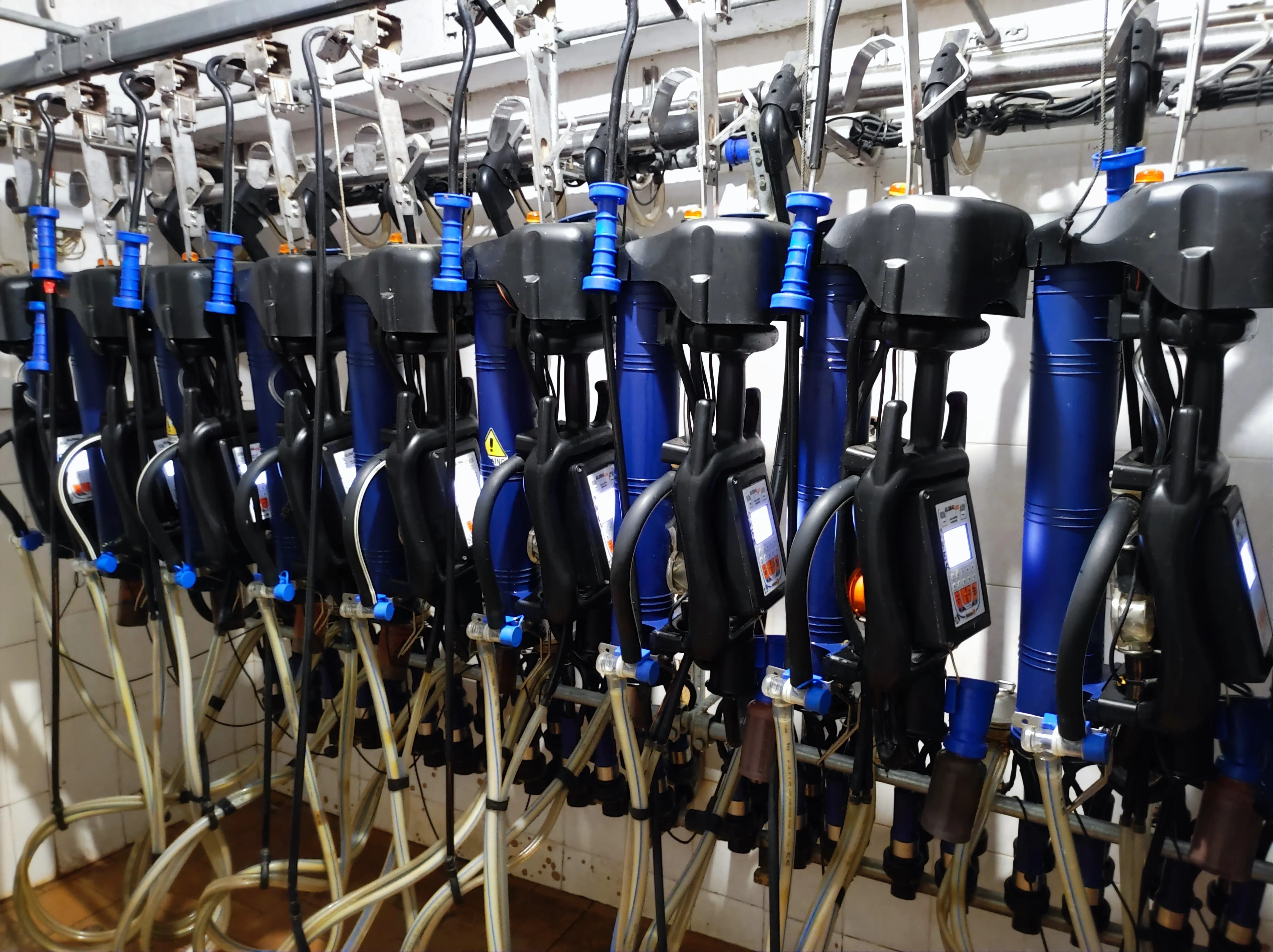 Московская область