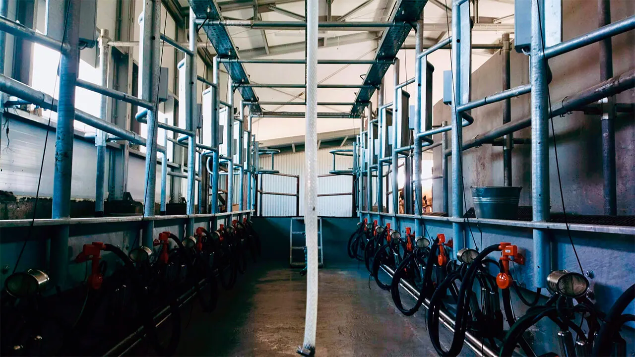 Нижегородская область