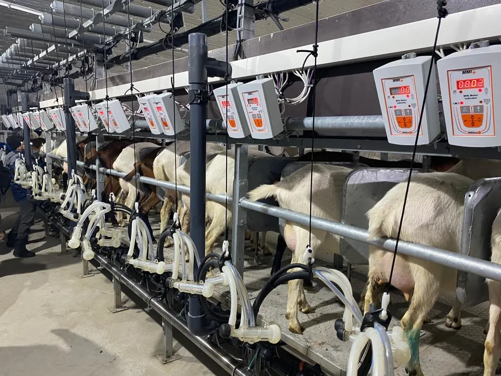 Кировская область