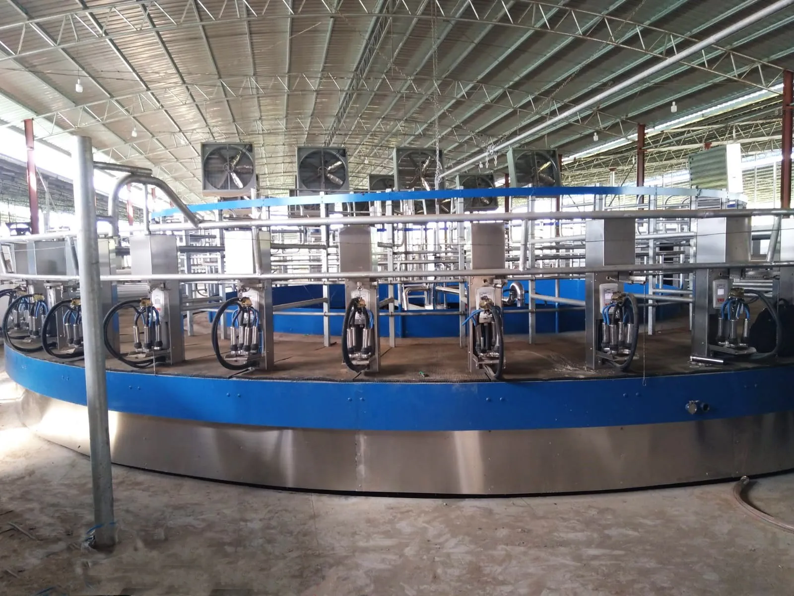 Карусель для доения коров на 60 мест