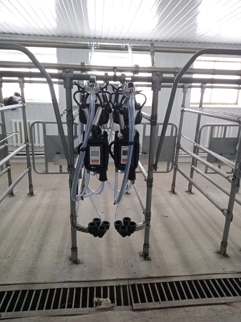 Омская область