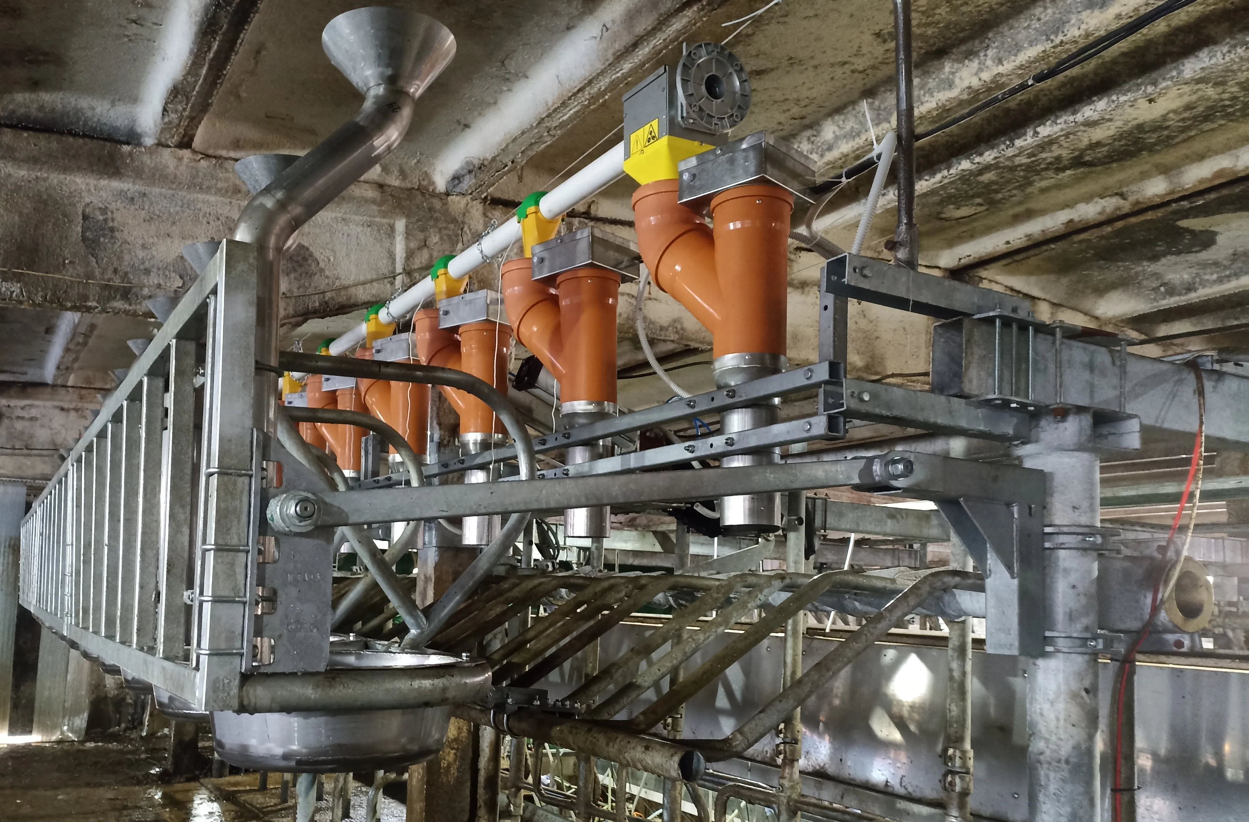 Ленинградская область