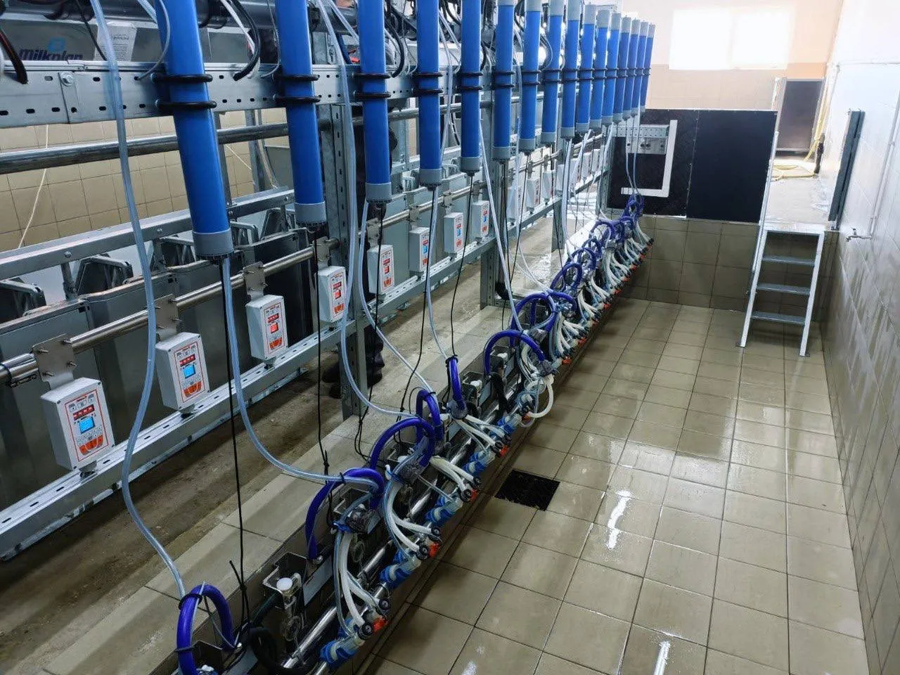 Смоленская область