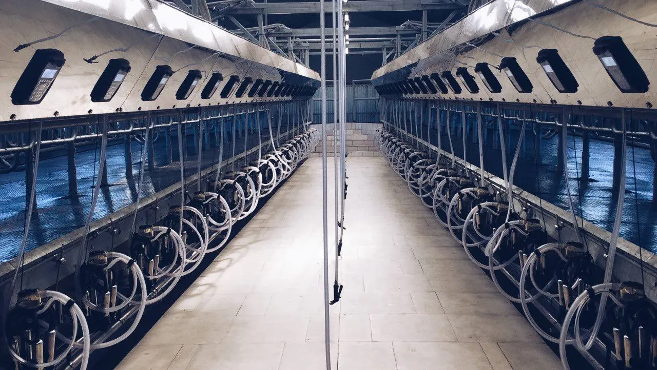 Ленинградская область