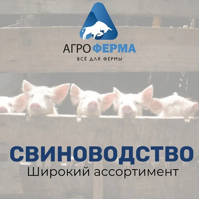 Всё для свиноводства