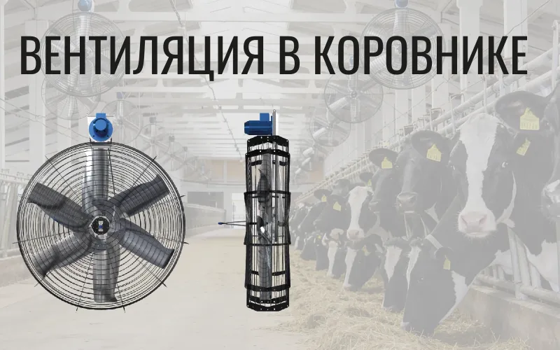 Вентиляция в коровнике