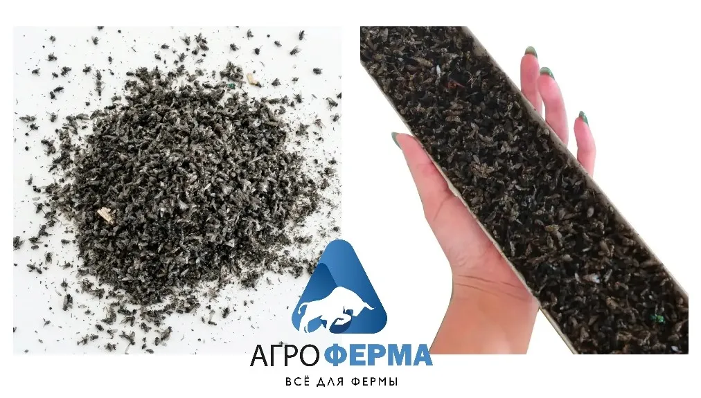 Борьба с насекомыми