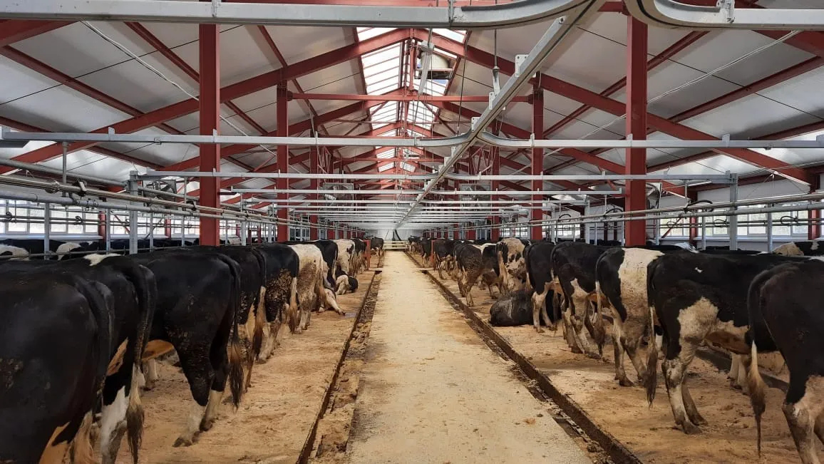 Свердловская область