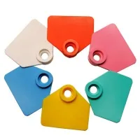 Бирка ушная, 30х35мм, двойная, под щипцы, пустая, малая, РОССИЯ