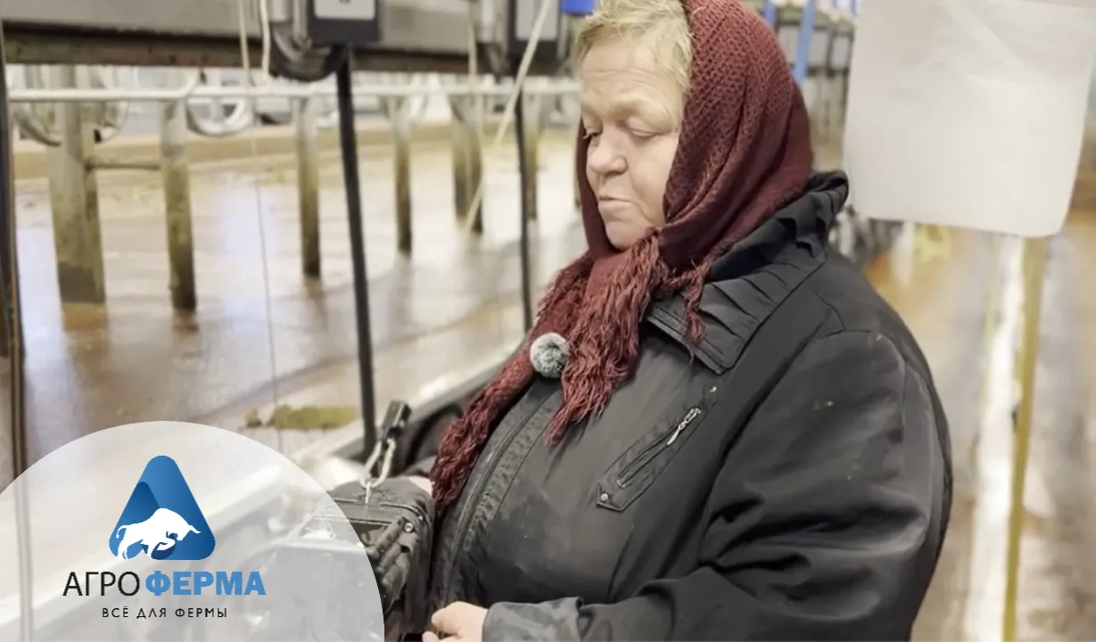 Опыт фермера: работа скруббера на практике