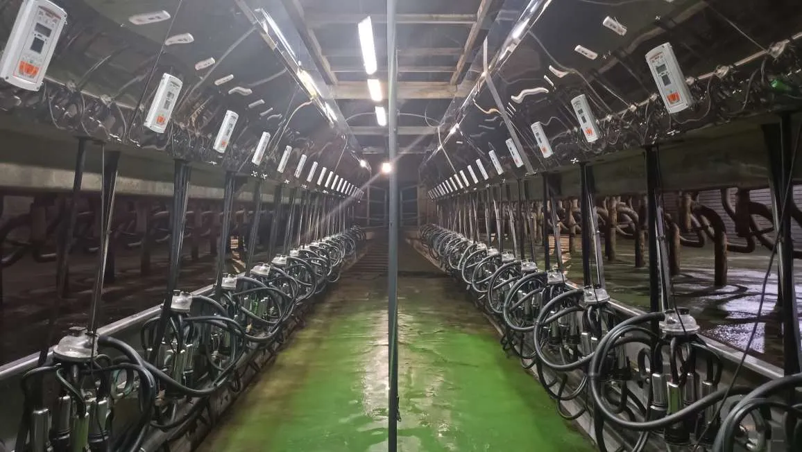 Модернизация зала GEA Параллель 2х20