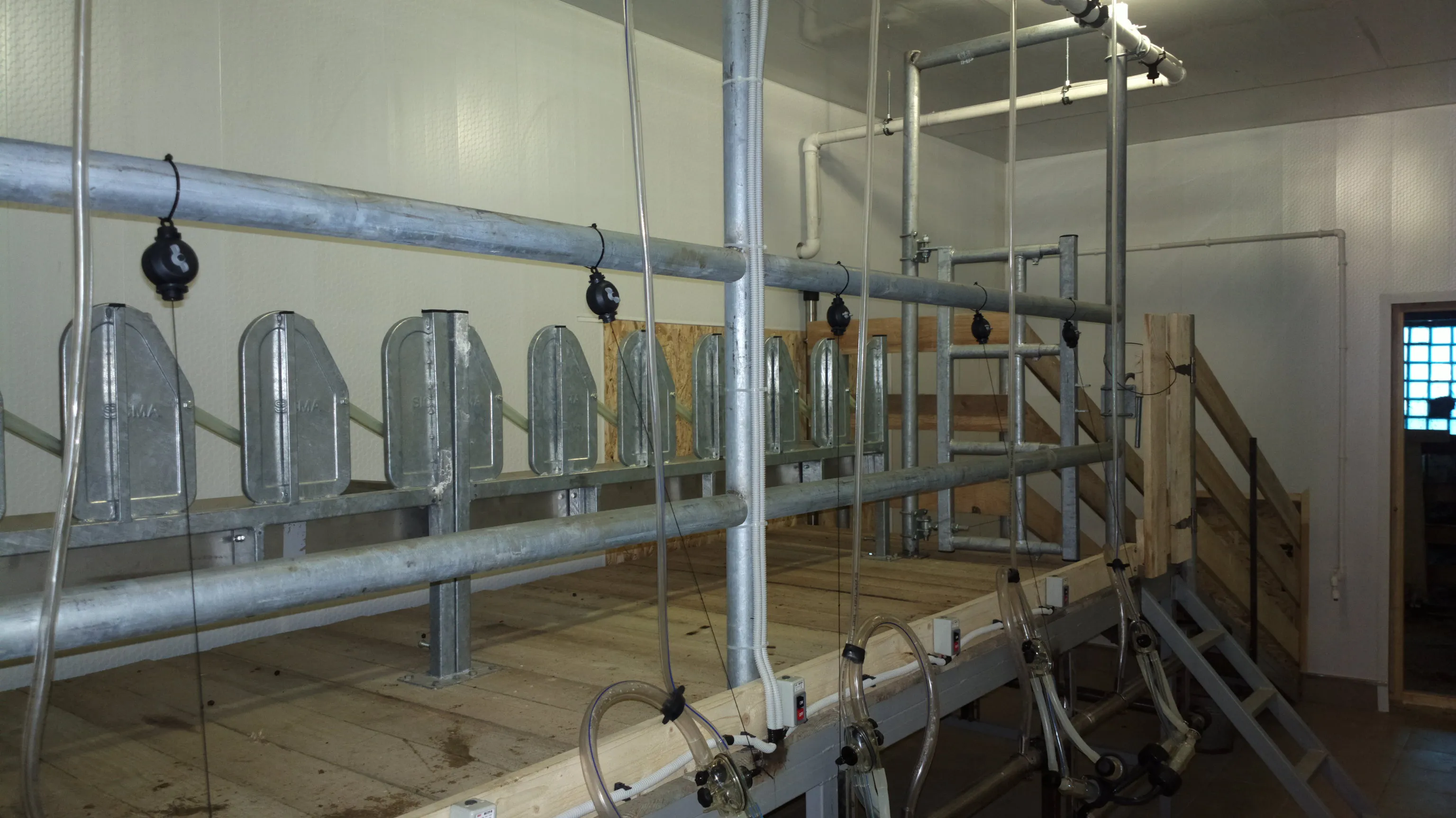 Брянская область