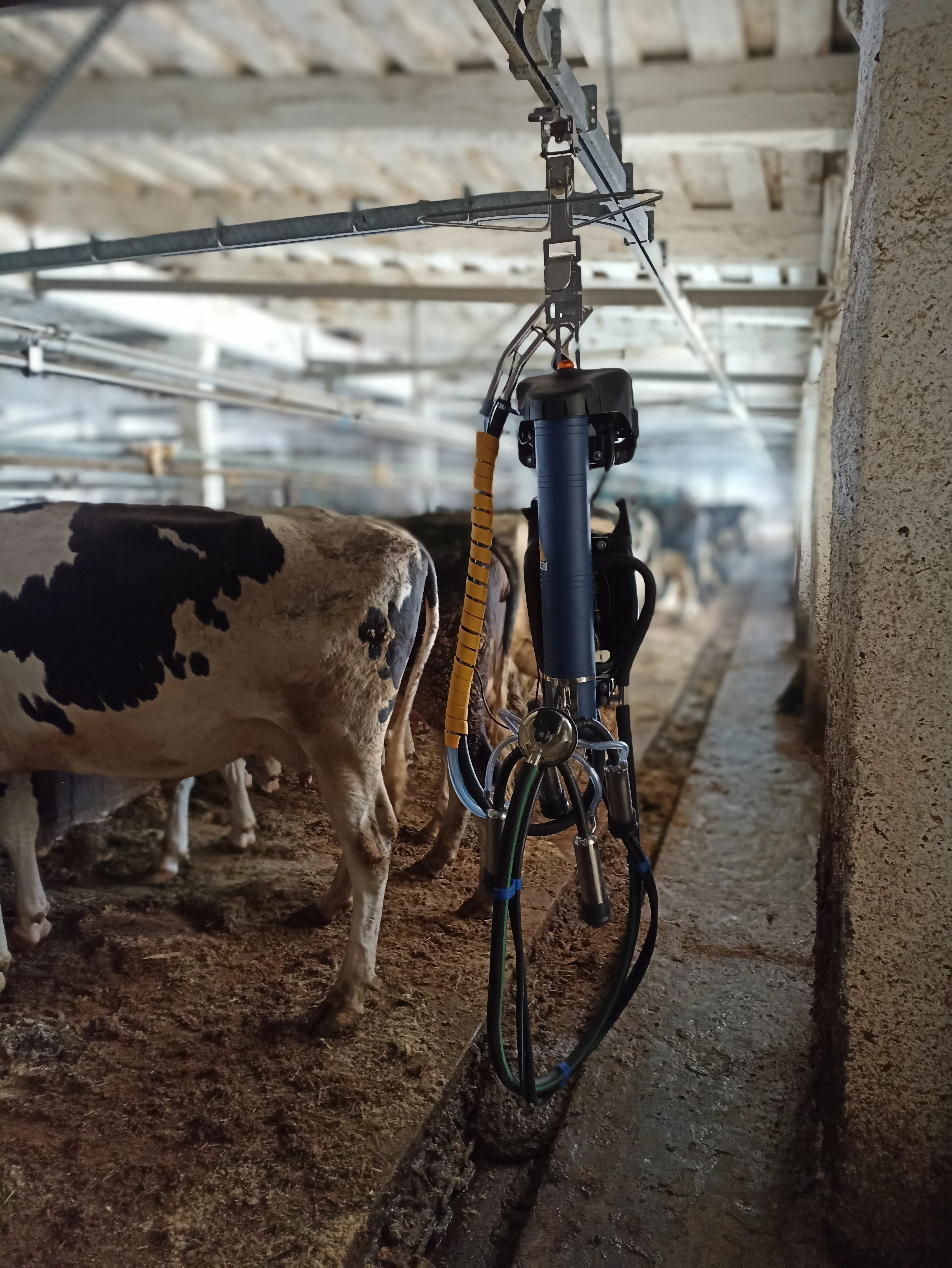 Свердловская область, молокопровод