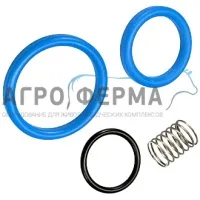 Ремкомплект обратного вентиля NonReturnValve-M.Pump D40, (4500h), GEA Farm, ГЕРМАНИЯ