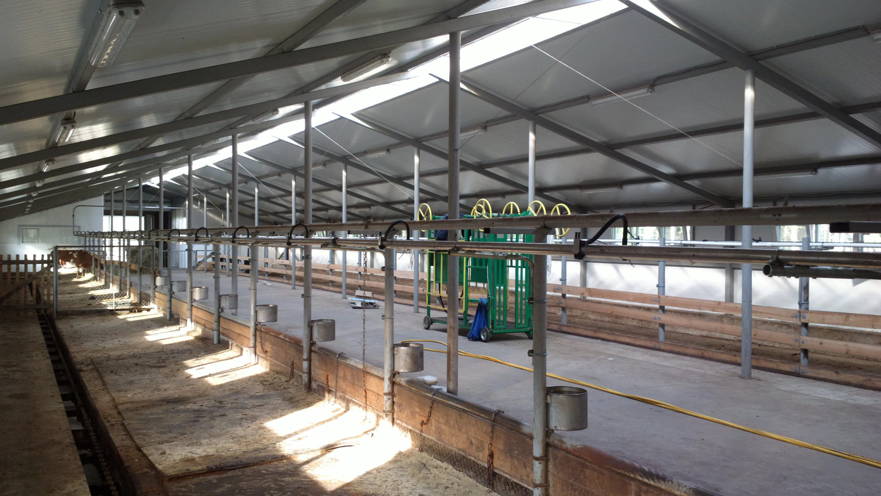 Московская область, молокопровод