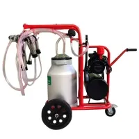 Установка доильная, передвижная, сухого типа, с а/д, попарного доения, для двух коров