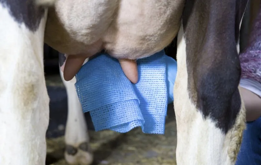 1. салфетки.jpg