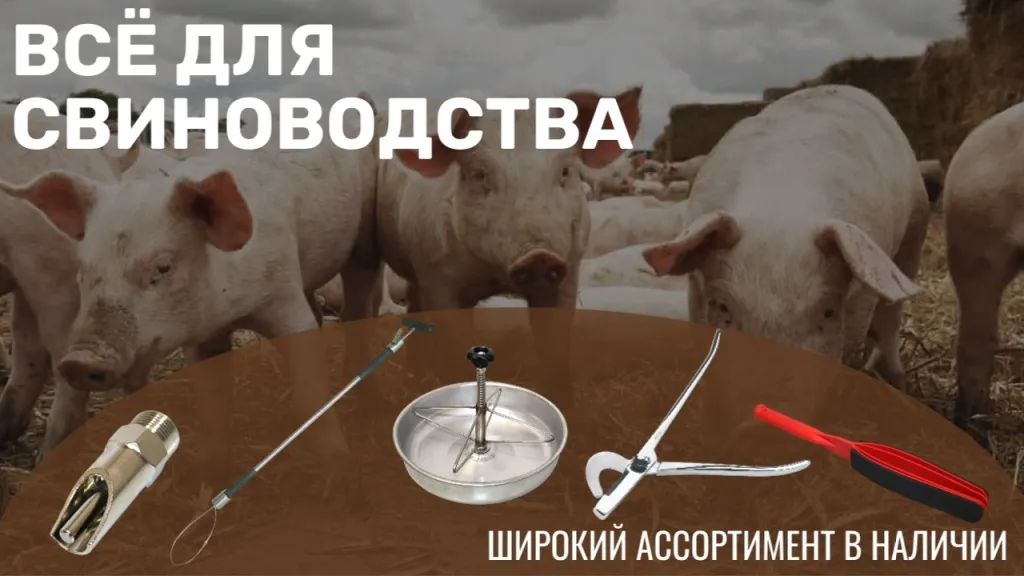 Всё для свиноводства.jpg