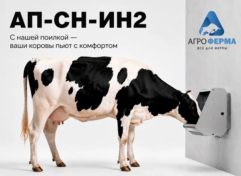 для сайта.jpg