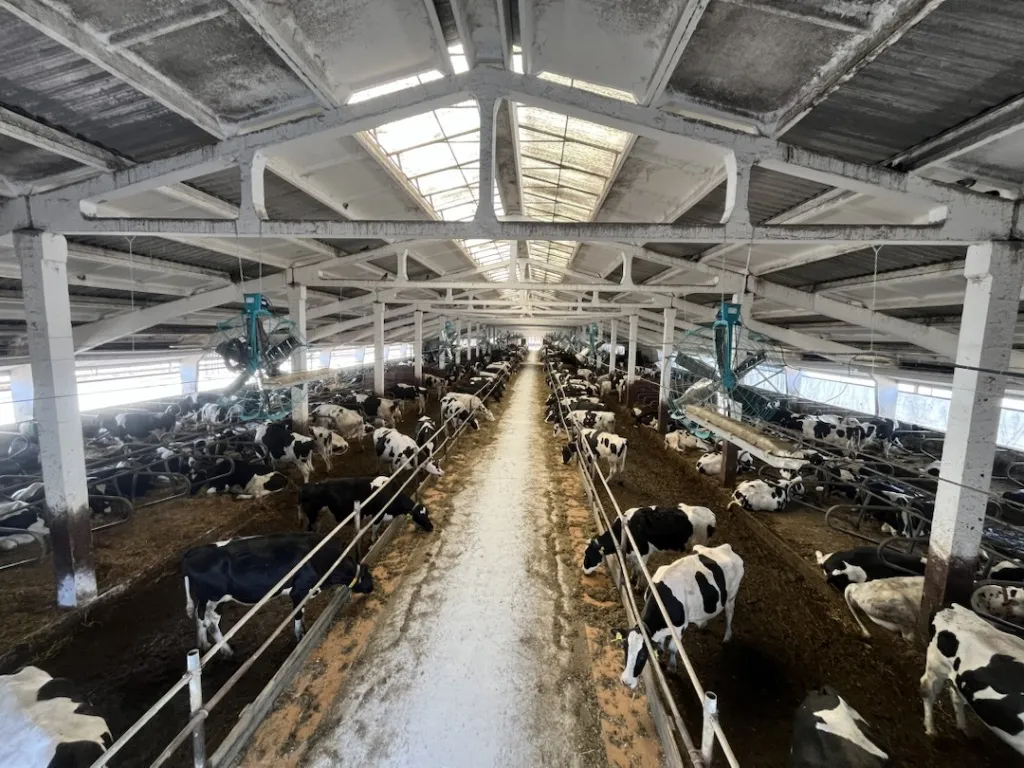 Вентиляция Вентиляция