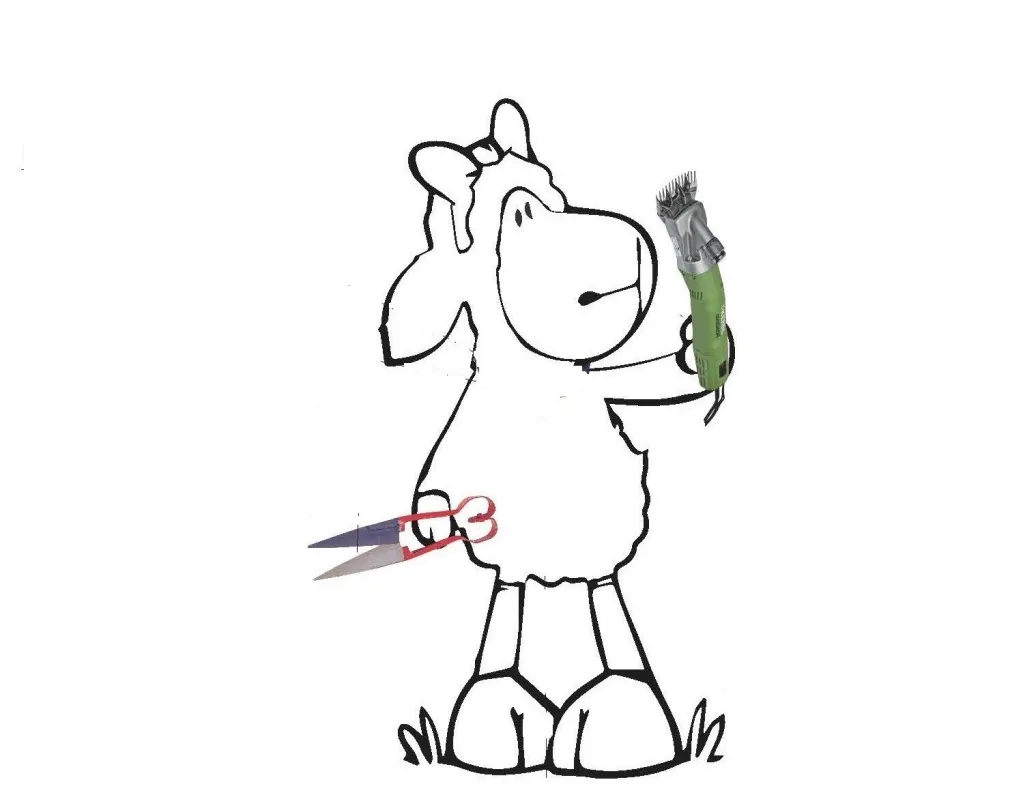 Стрижка овец.jpg Стрижка овец.jpg