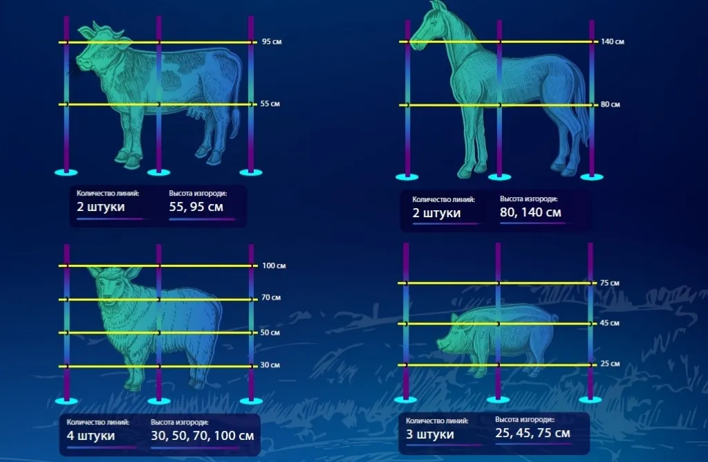 WhatsApp Image 2020-03-10 at 16.07.20 — копия.jpeg