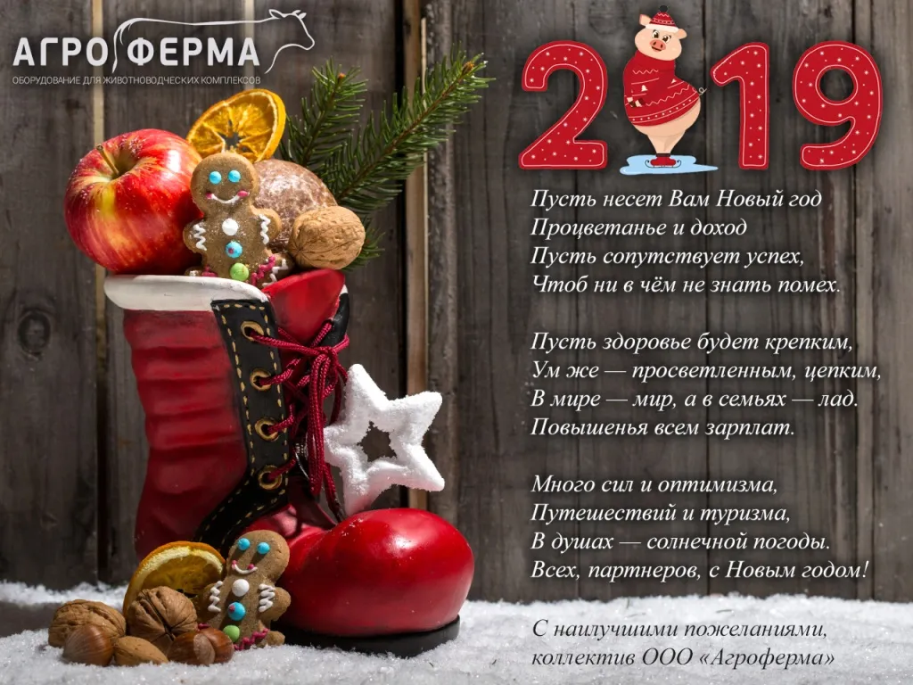 Поздравление с Новым Годом 2019.jpg