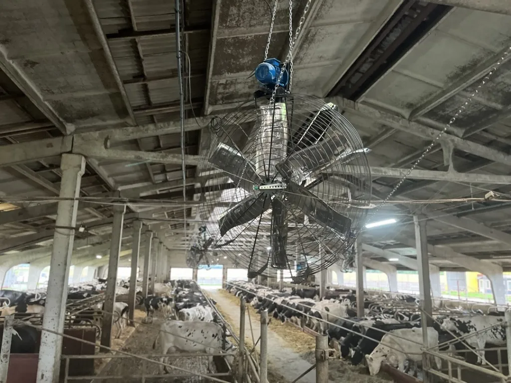 Вентиляция Вентиляция